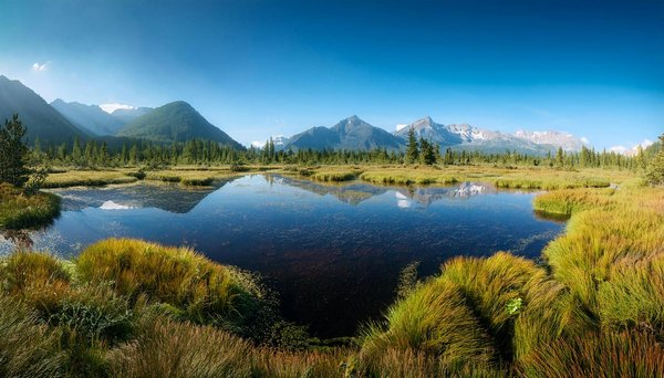 Standuppaddlelaketour